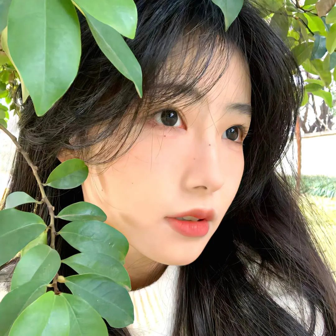 曼陀罗